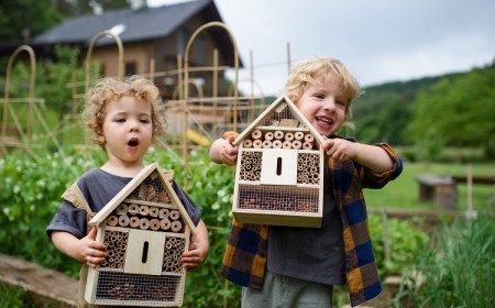 que faire avec les enfants dans le jardin