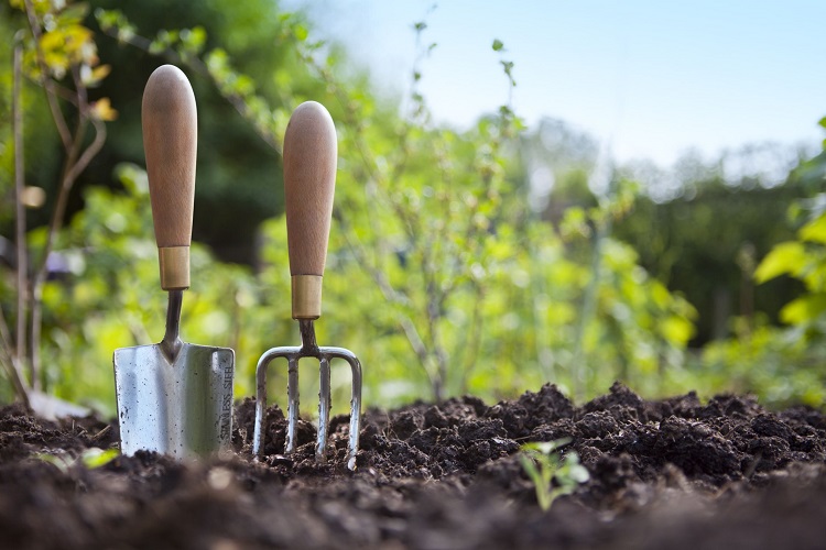 que planter en avril 2022 en provence au jardin potager balcon