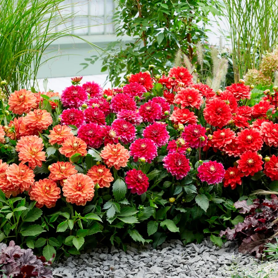que planter en avril fleurs