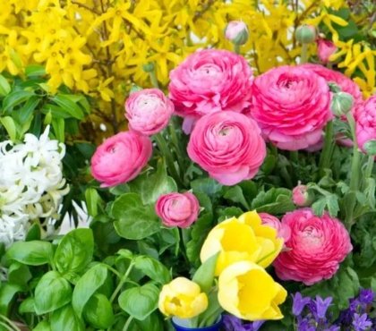 quelles fleurs peut-on planter en avril pour un jardin coloré en été