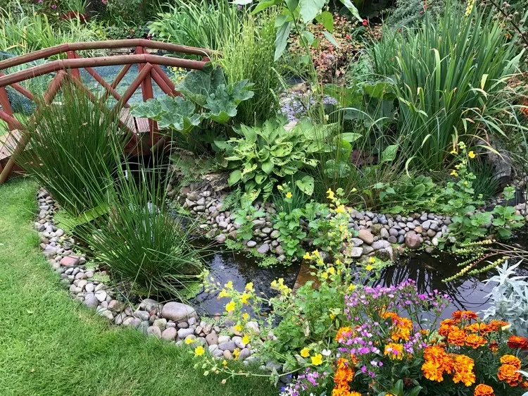 quelles plantes pour bassin de jardin végétation luxuriante pont décoratif