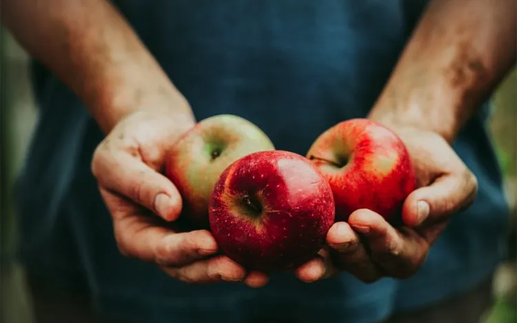 quels sont les bienfaits de la pomme sur la santé intestinale aliment digestif