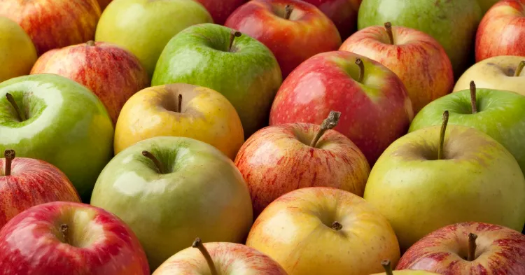 quels sont les bienfaits de la pomme sur la santé valeur nutritionnelle