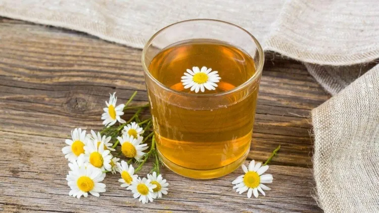 Herbal tea to help prevent pregnancy menstrual bleeding congenital deformities