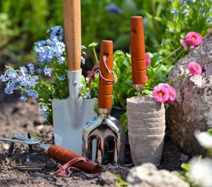 vaseline dans le jardin astuce pour protéger les outils de jardinage de la corrosion