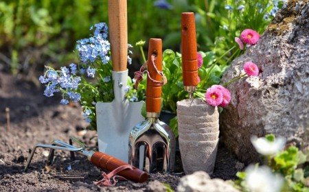 vaseline dans le jardin astuce pour protéger les outils de jardinage de la corrosion