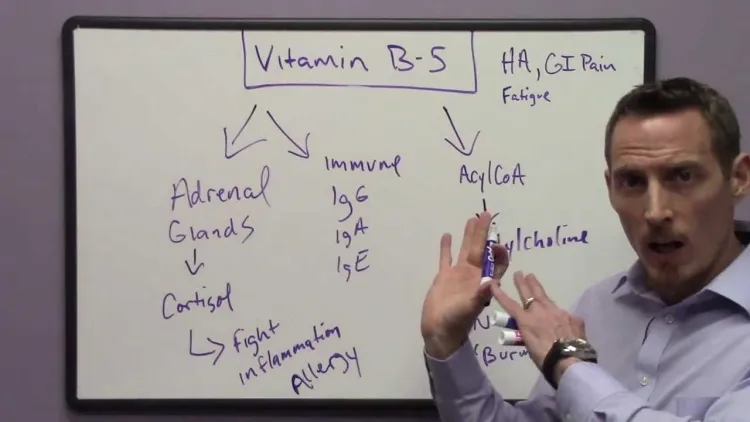 la vitamina B5 aiuta il corpo a far convertire l'energia alimentare dai globuli