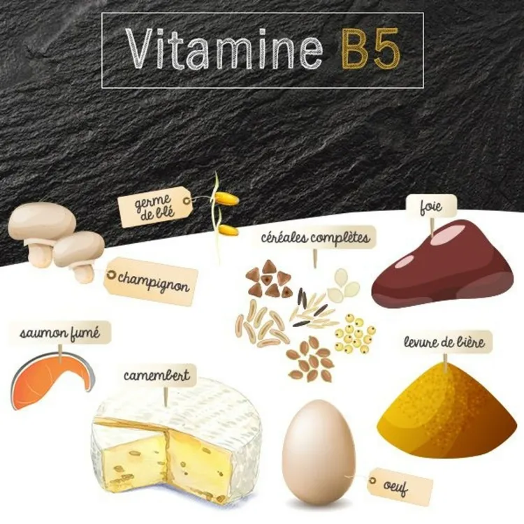 vitamine B5 légumes légumineuses levure œufs lait grains entiers