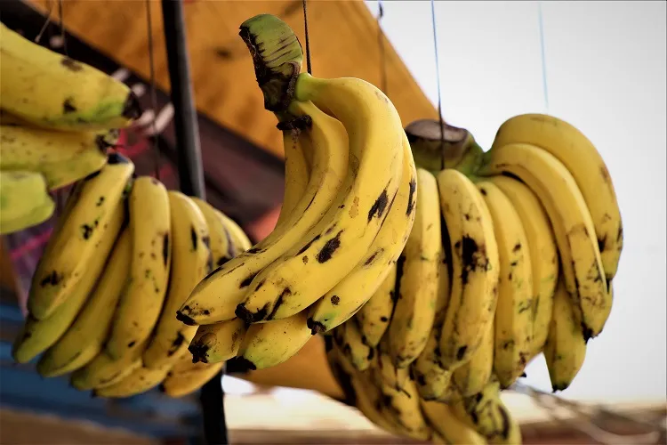 Comment utiliser les bananes trop mûres dans la cuisine