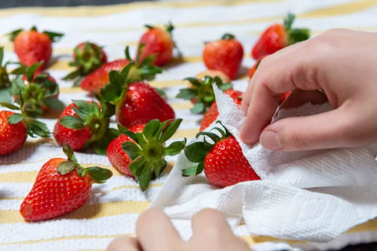 bien essuyer les fraises 2022