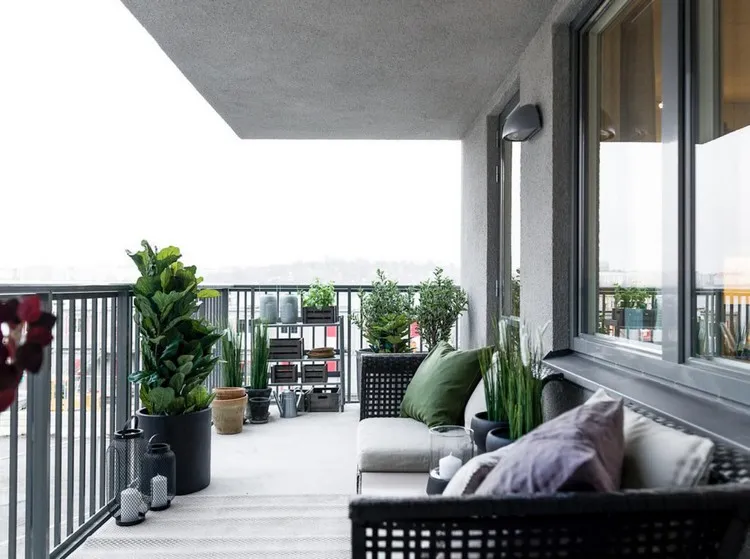 how to set up a long balcony without fault steps to avoid outdoor plants