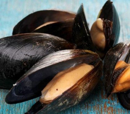 comment conserver des moules crues en 2022