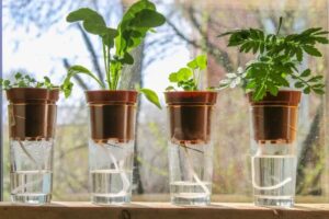 comment construire un arrosage goutte à goutte a la meche pour vos plantes d'intérieur