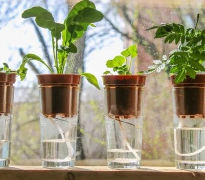 comment construire un arrosage goutte à goutte a la meche pour vos plantes d'intérieur