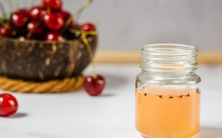 comment débarrasser des moucherons dans mes plantes vertes naturellement avec vinaigre blanc intérieur cuisine