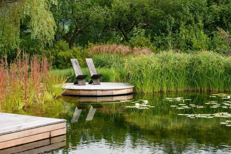 comment éloigner les moustiques construire petit lac jardin attirer libellules