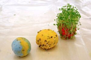 comment fabriquer des bombes à graines avec du papier recyclé