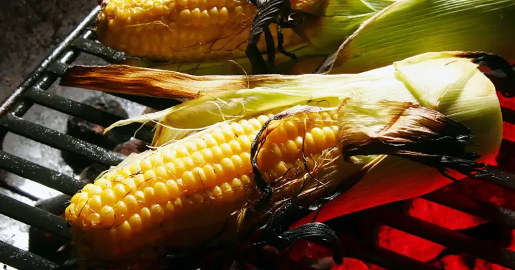 comment faire griller du maïs dans ses feuilles 2022