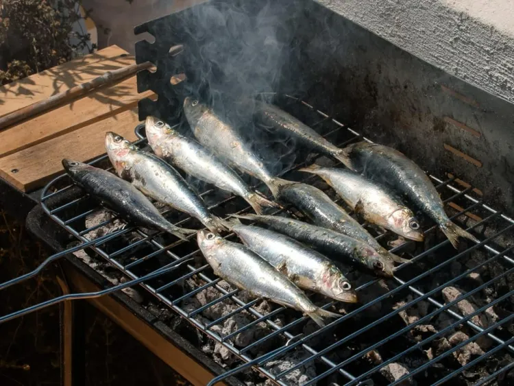 comment griller des sardines au barbecue découvrir recette portugaises croustillante