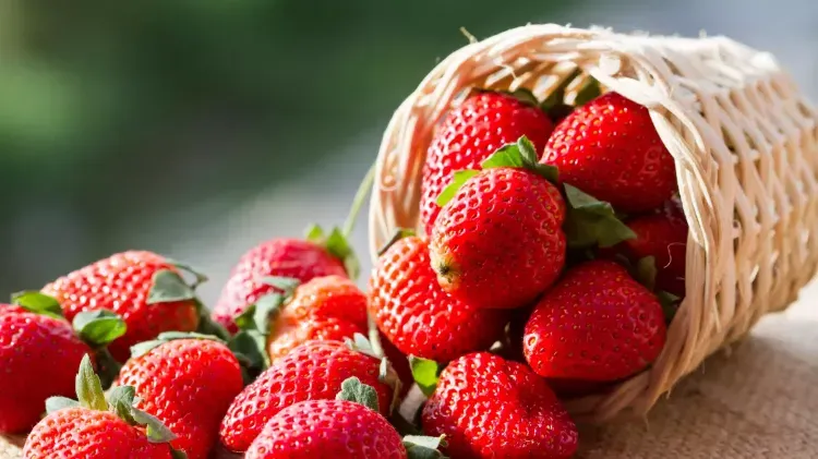 comment nettoyer des fraises le plus naturellement possible en 2022