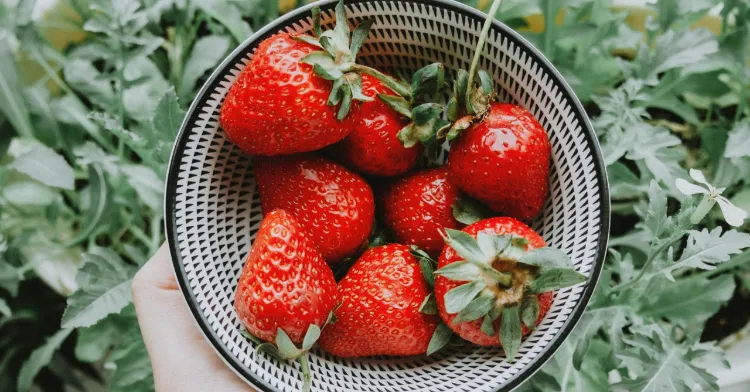 comment nettoyer des fraises naturellement 2022