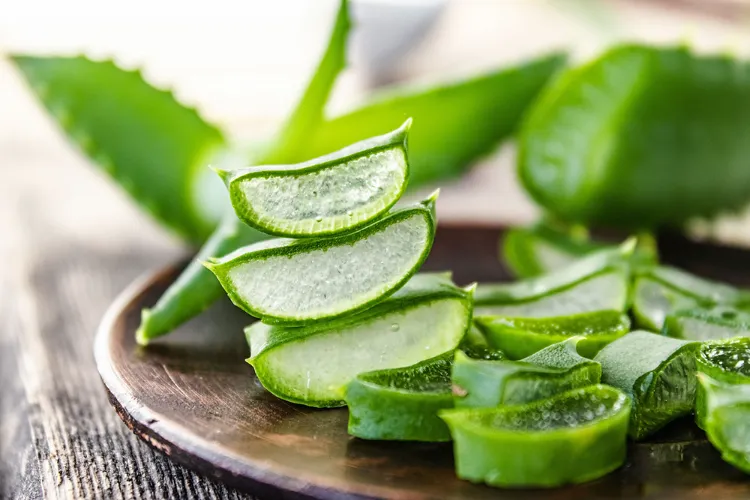 Comment conserver le gel d'aloe vera