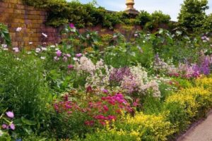 composition d'un massif de plantes vivaces