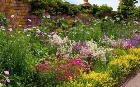 composition d'un massif de plantes vivaces