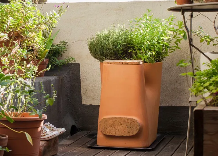 compost jardin potager urbain 2022
