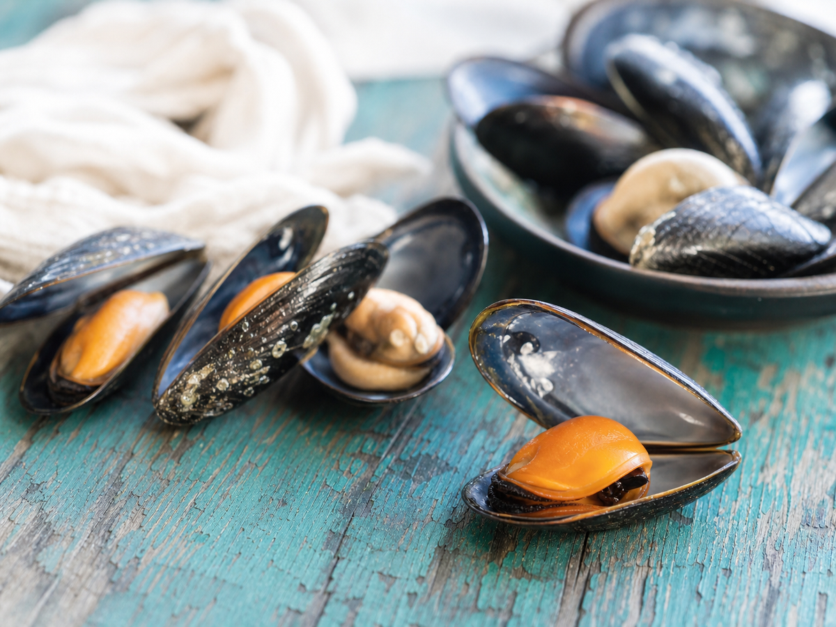 tout ce qu'il faut savoir pour bien conserver des moules crues 2022