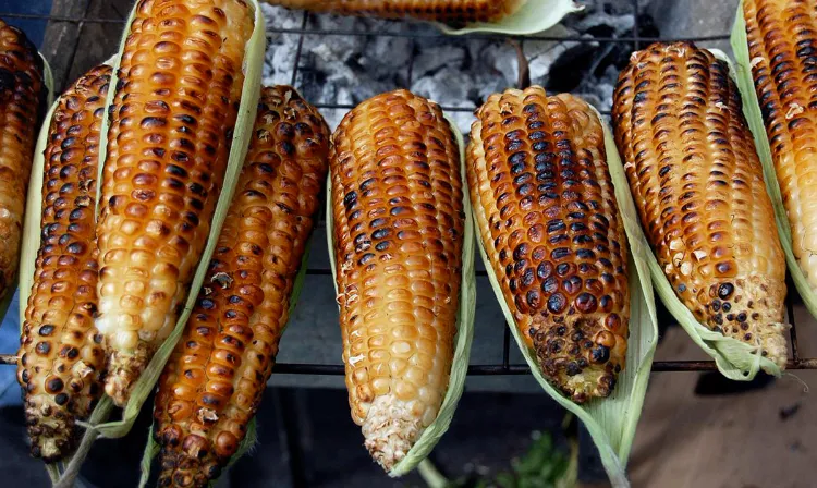 cuisiner du maïs au barbecue dans ses feuilles 2022