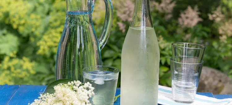 fleur de sureau sirop ingrédient saison prépéré tester recette boisson alcoolisée vin