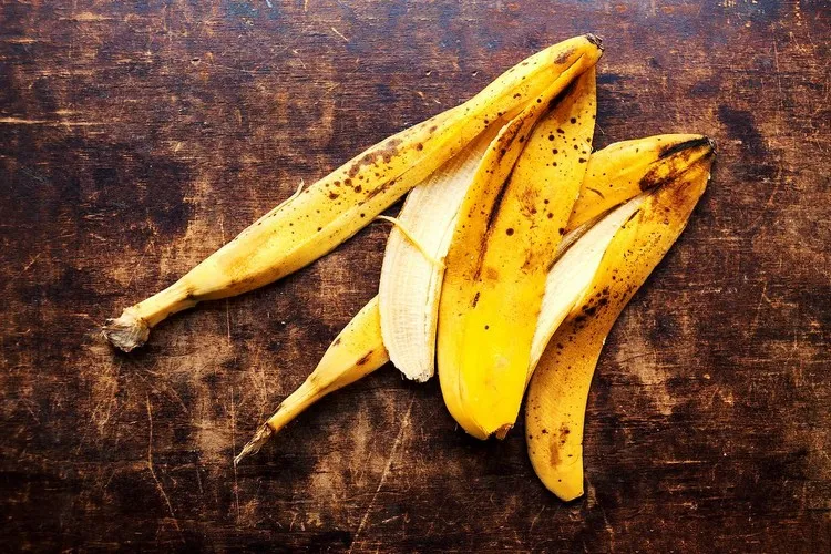 géranium entretien engrais organique pour géranium peaux de bananes conseils astuces