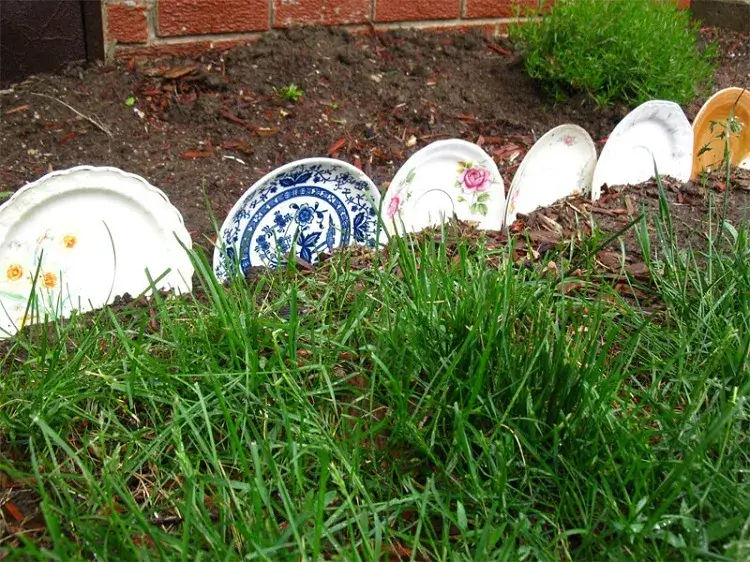 idée bordures de jardin originales pas chères DIY vieilles assiettes dépareillées