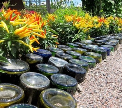 idées de bordures de jardin originales pas chères DIY bouteilles en verre