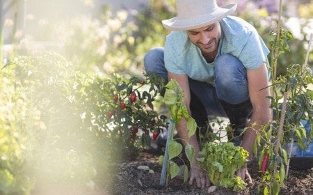 jardinage conseil pour débutants jardiner sans faux pas trucs et astuces efficaces