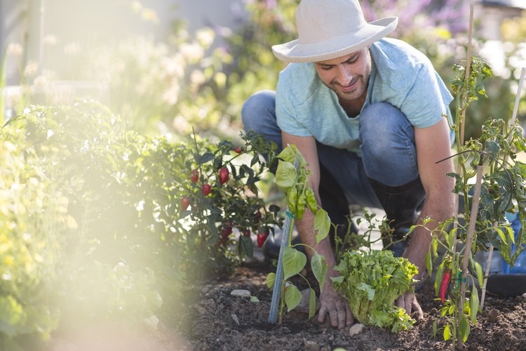 jardinage conseil pour débutants jardiner sans faux pas trucs et astuces efficaces