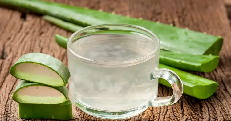 Comment conserver le gel d'aloe vera