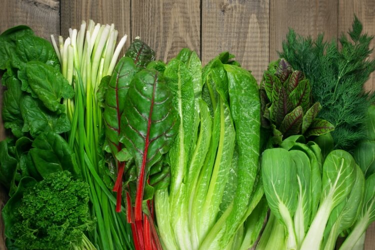 légumes à récolter en mai attendre herbes feuillus verts laitue ciboulette