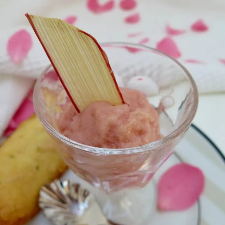 manger du sucre après le sport alterner recettes desserts rhubarbe congelée fraîche