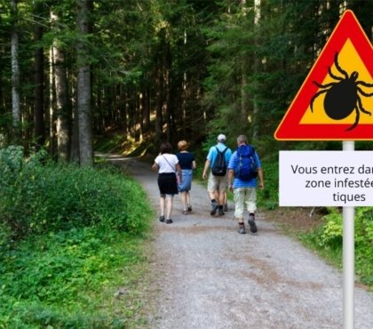 piqûre de tique comment soigner être mordu jardin pelouse