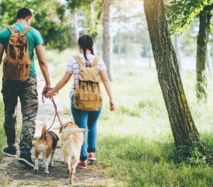 piqûres de tiques forêts jardins parcs tiques féroces impitoyables conséquences