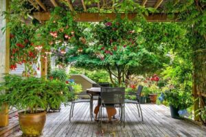 plante grimpante terrasse foisonnement couleurs verdure protection