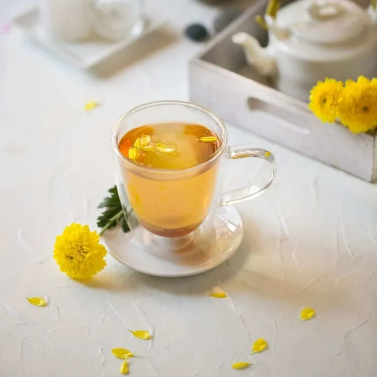 plantes éliminant le stress thé chrysanthème détendre corps augmenter métabolisme
