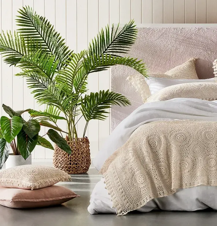 plantes pour le sommeil chambre palmier aréca