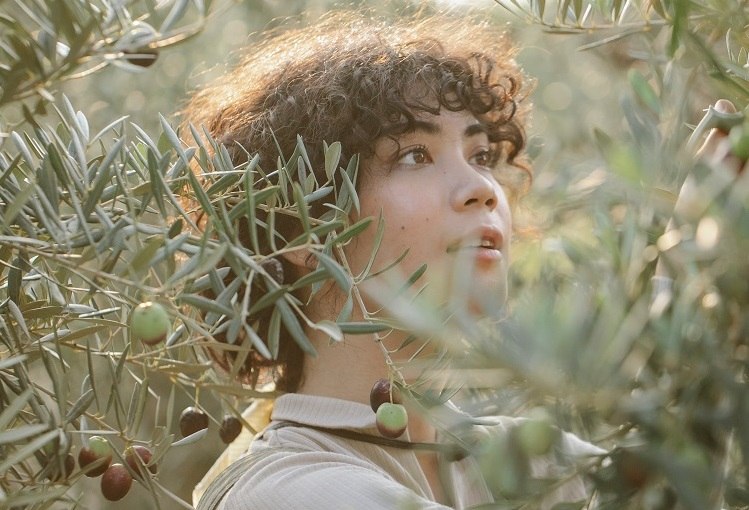 plantes pour mémoire et concentration