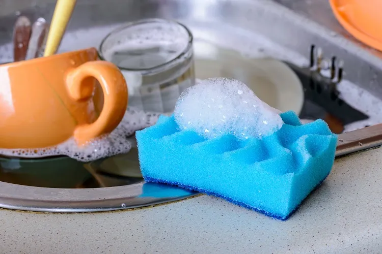 quelle fréquence remplacer éponge vaisselle comment éviter risque bactéries