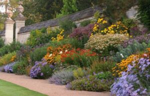 quelles plantes vivaces pour jardin sec