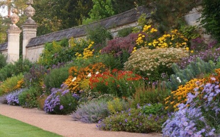 quelles plantes vivaces pour jardin sec