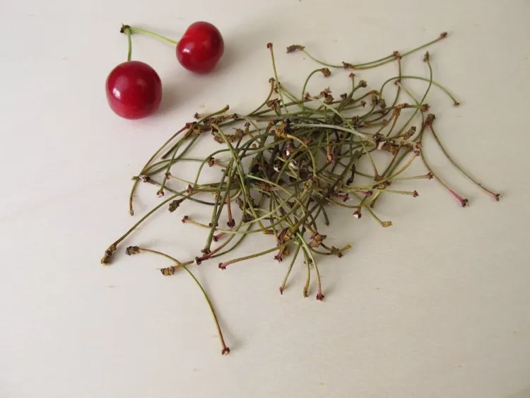 cherry stem and hypertension